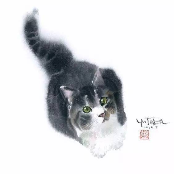 画猫如有神的日本水彩画家