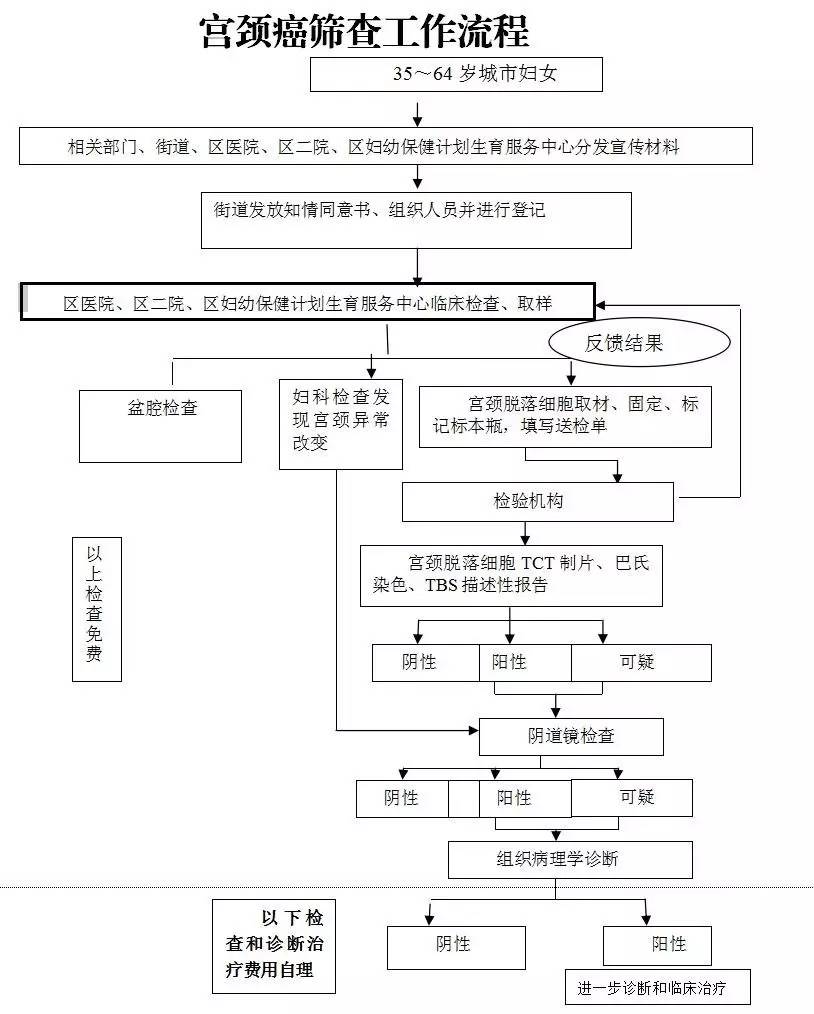 查性氏人口_人口普查(3)