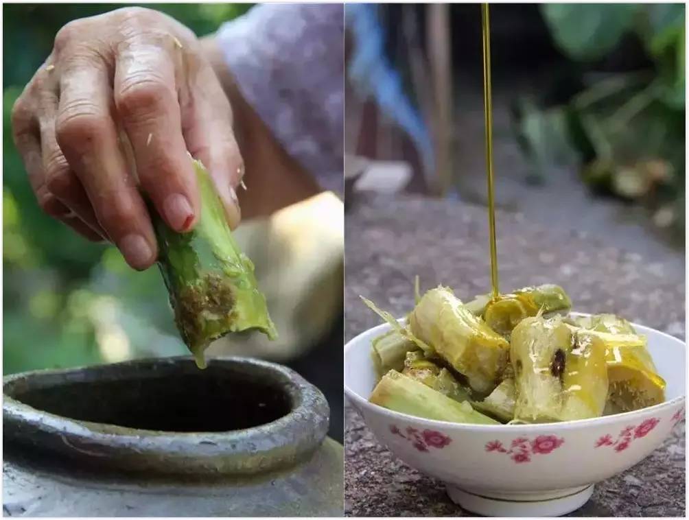 宁波人口味咸吗_宁波董鲁达哪里人(3)