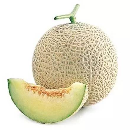 honeydew melon