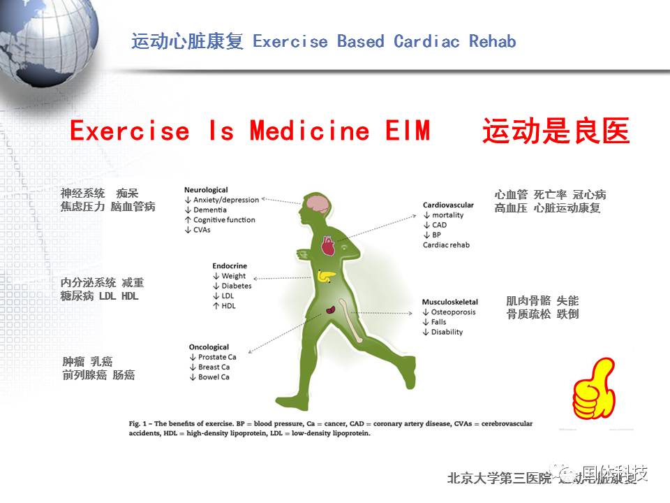 【课件分享】运动心脏康复的实践 心脏病人的运动训练