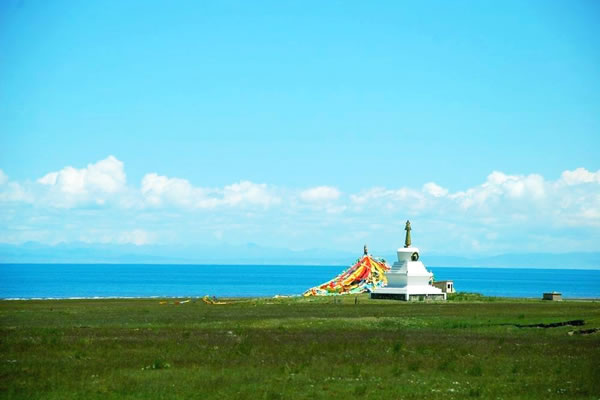 青海湖地处青藏高原的东北部,这里地域辽阔,草原广袤,河流众多,水草丰