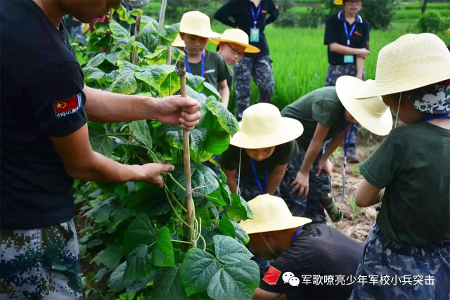 【暑期活动】江西龙南乡村生活体验夏令营