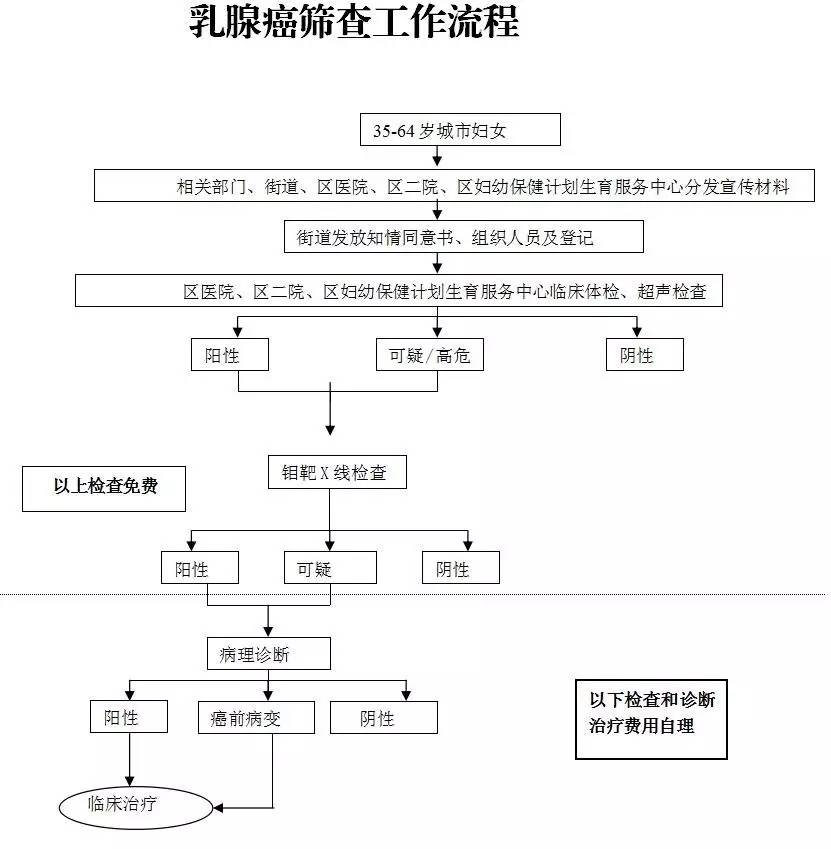 查性氏人口_人口普查(3)