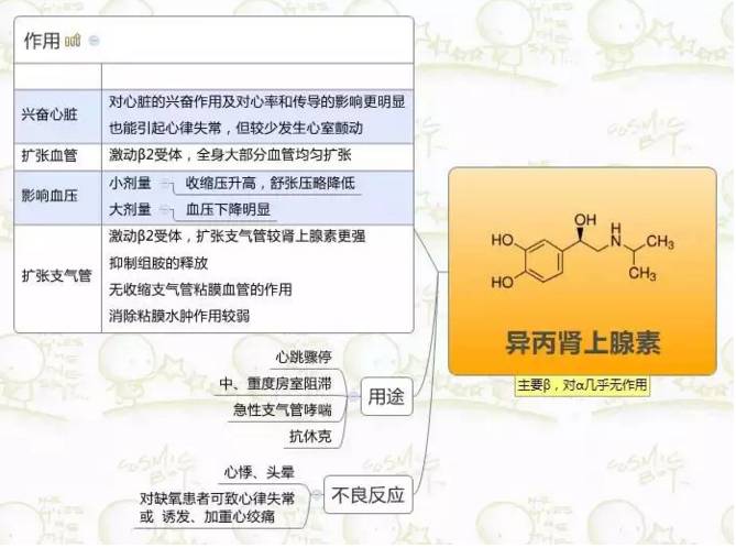 思维导图丨异丙肾上腺素