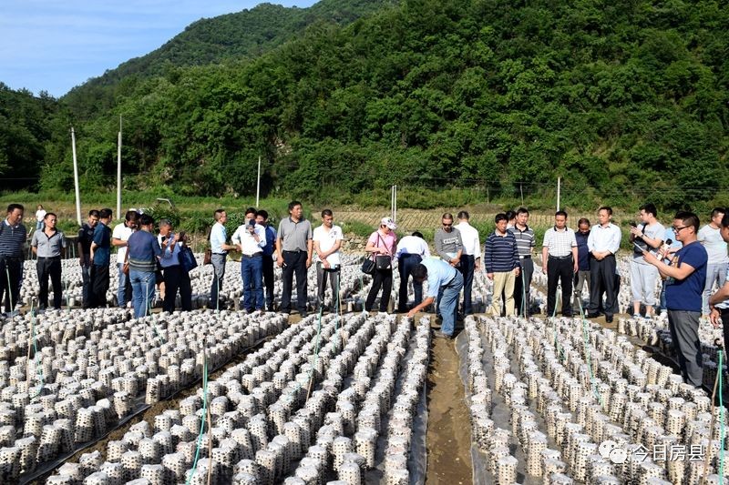 十竹路房县段7月1日基本建成通车!端午房县旅游吸金9850万元