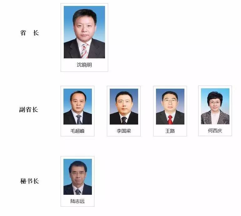 海南省人民政府办公厅关于调整省政府领导分工的通知