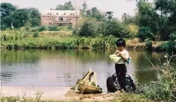 小时候河流池塘见过鱼虾泥鳅，现在多少河塘能见到