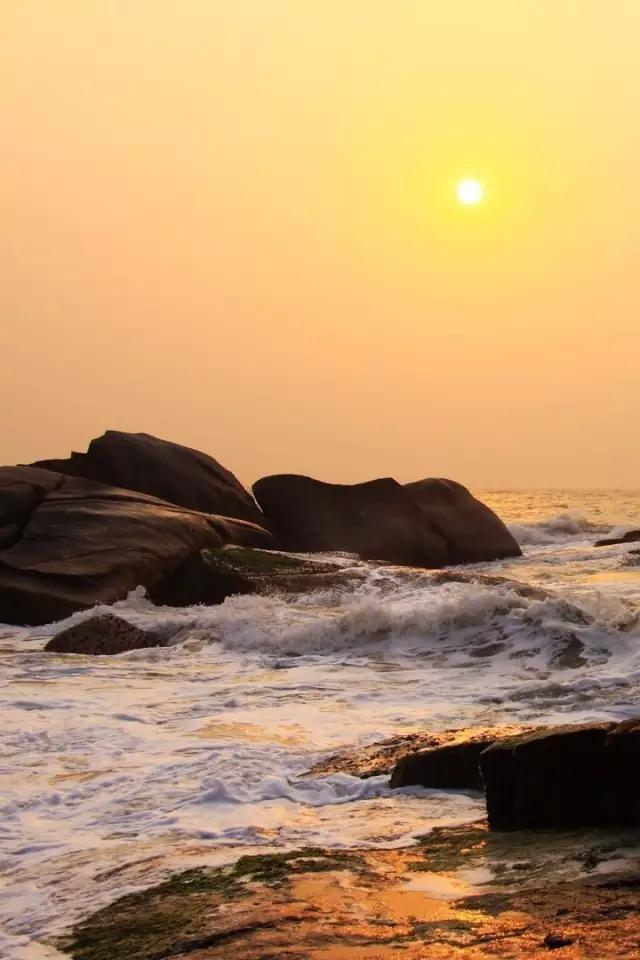 太阳将海面映照得金光灿烂,海浪拍打着礁石,浪花飞舞,眼前的景色美