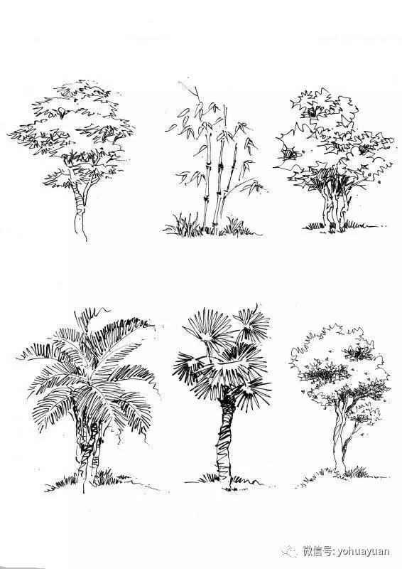 干,枝,叶组成,树木在形态上既有低矮的灌木,也有高大挺拔的乔木