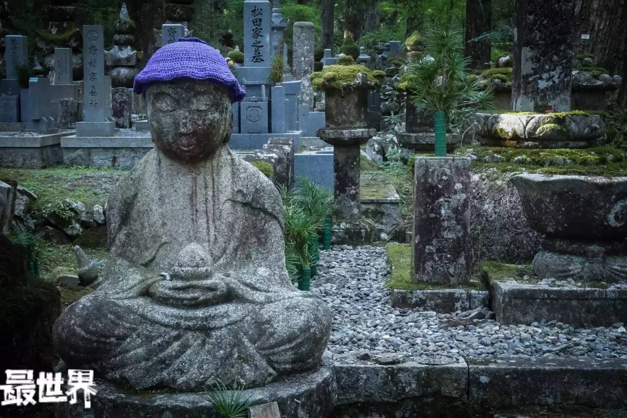 穿越日本能量宝地高野山,一次森林,大海,温泉,美食之旅