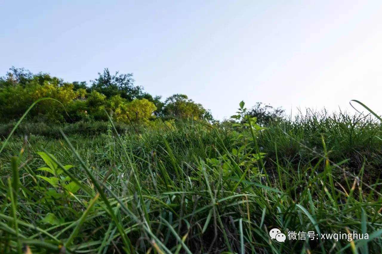 看到寨门,会不会遇上土匪…劫个色什么的~~~(和谐社会不