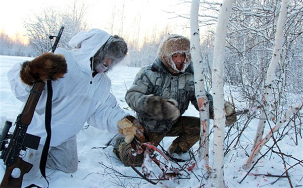 俄罗斯是如何对付泛滥的西伯利亚狼？用狼肉蒸包子