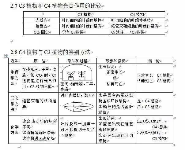 高中生物"光合作用"示意图