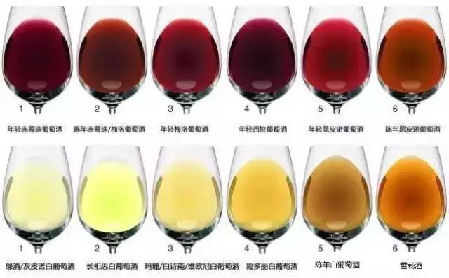 红酒的 酒色 到底有多色?