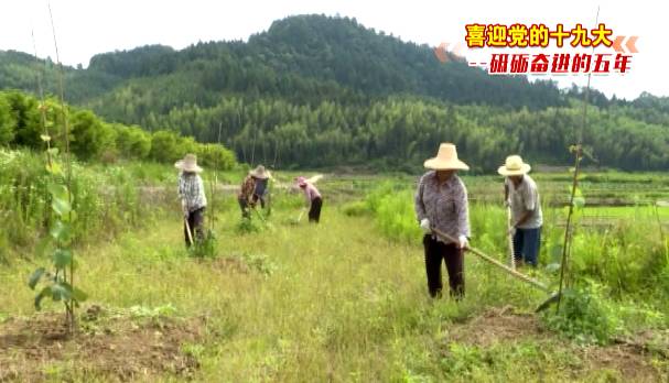 明溪人口有多少_三明十二县市区,谁最宜居(2)