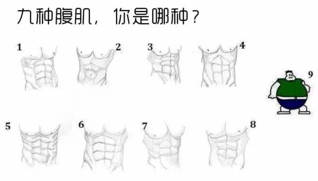 原来腹肌分为9种,你是哪种?