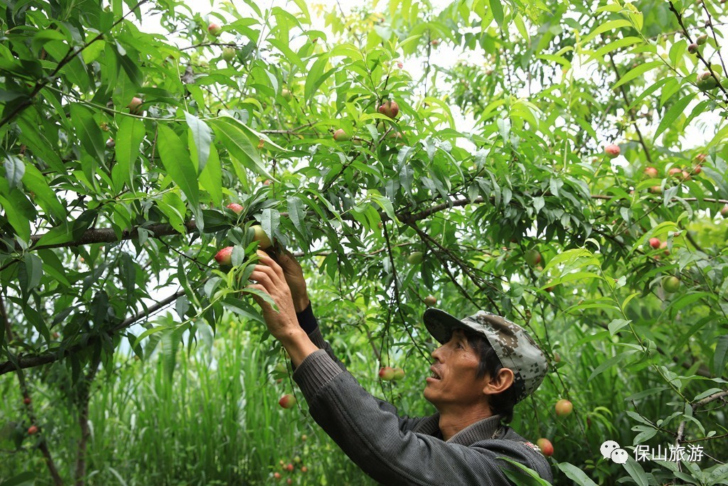 昌宁县有多少人口_昌宁县地图