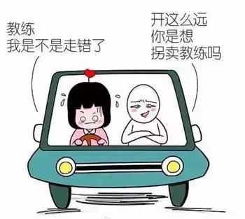 搞笑 正文  学驾照是一种什么样的体验?