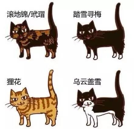 什么猫成语_成语故事图片(2)