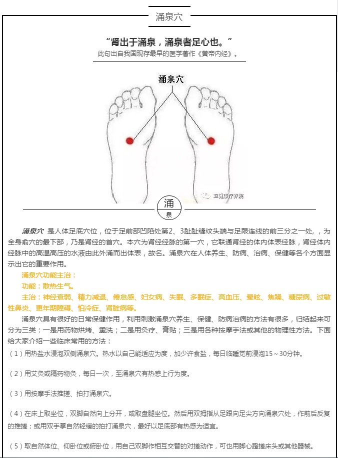 涌泉穴 风池穴 大椎穴