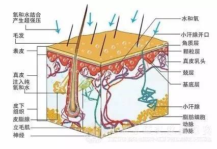 吸黑头是什么原理_黑头是什么样子图片(3)