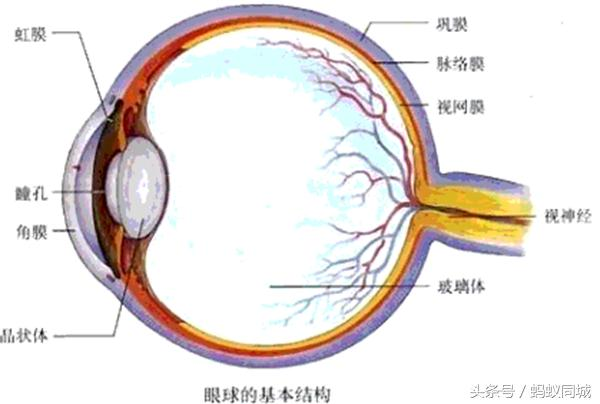 手术治疗近视眼的原理_MCT技术控制近视 非手术治疗近视的首选(3)