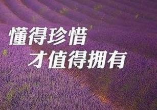 懂得珍惜才配拥有幸福,不懂得珍惜就算是再爱你的人也会转身离去,因为