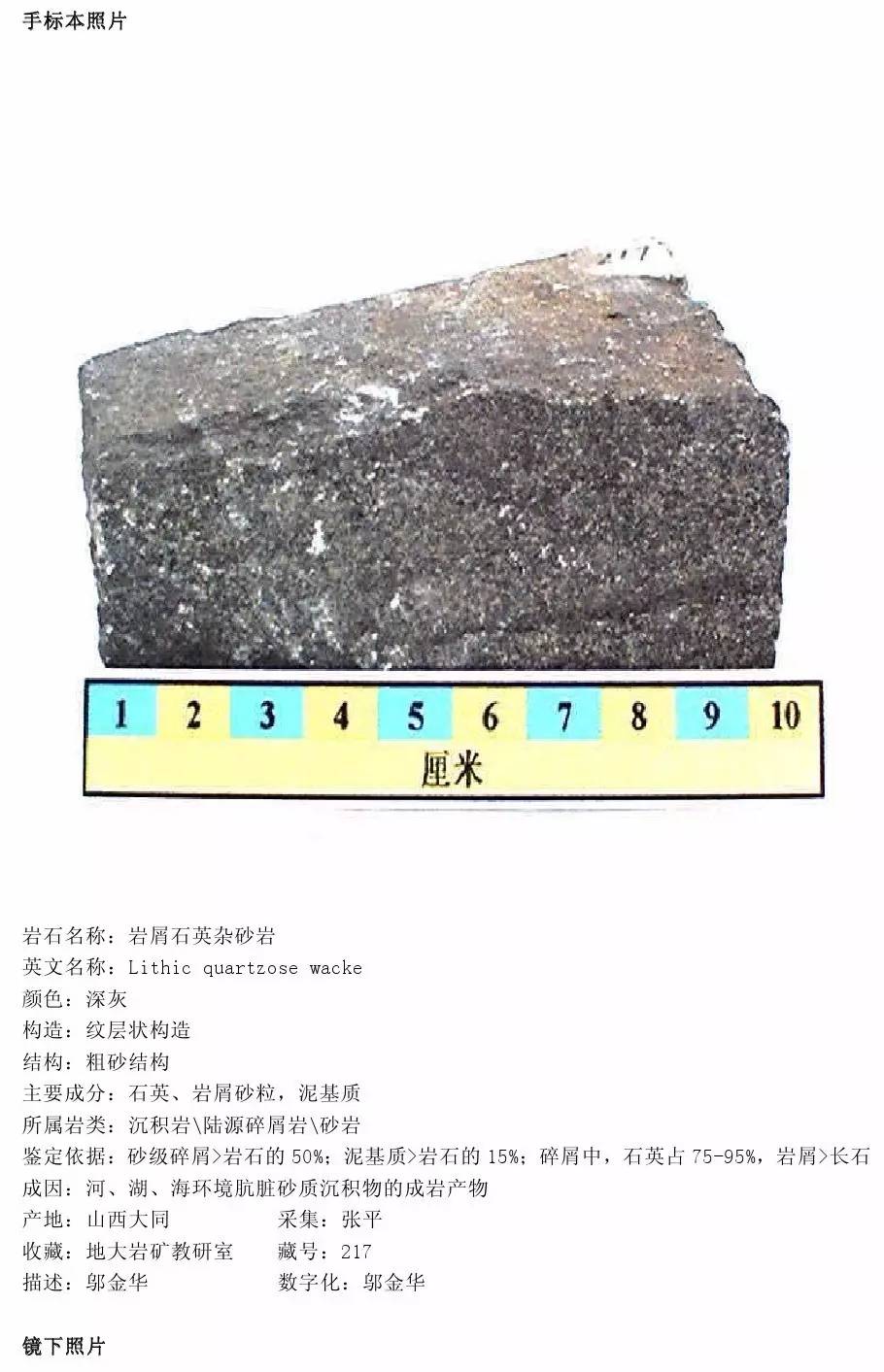 财经 正文  (二)泥质岩(3) 高岭石粘土岩  (三)自生沉积岩(40) 1.