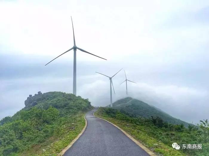 你知道吗?除了白岩山,宁波另外还有5条同样绝美的风车公路!