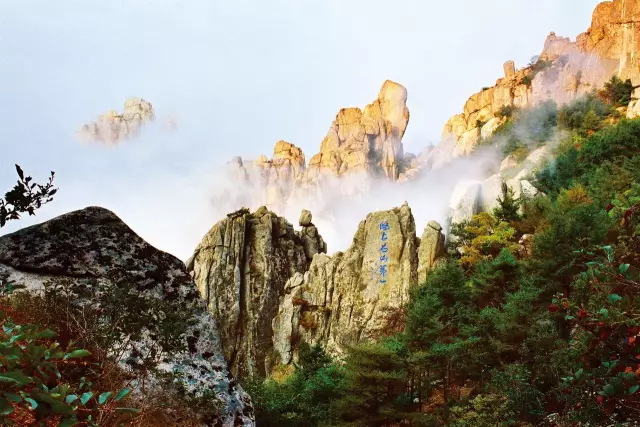 传说中的“青岛三宝”你知道哪些？