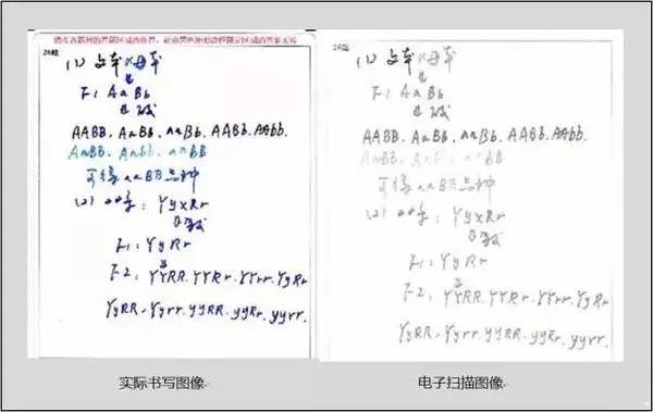 中高考电脑阅卷流程这样的!读完可多拿20分(转给考生