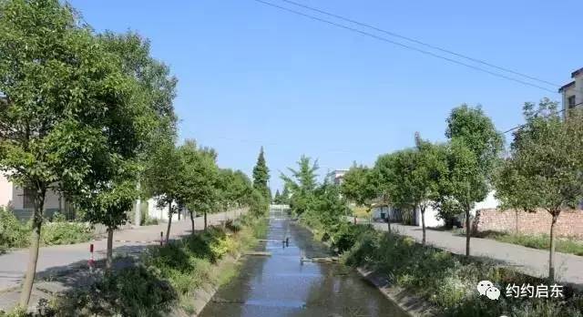 下阶段,建群村将继续推进美丽乡村建设,加大对道路绿化,河道整治等