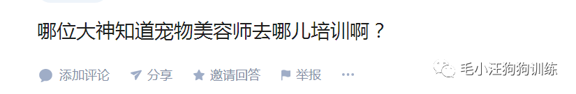 萌宠圈|在宠物培训学校学习靠谱？还是直接去宠物店上班有前途？