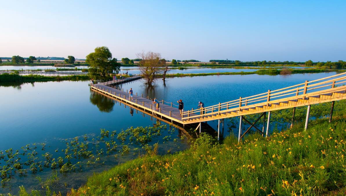 2.蒲河生态廊道——天然氧吧