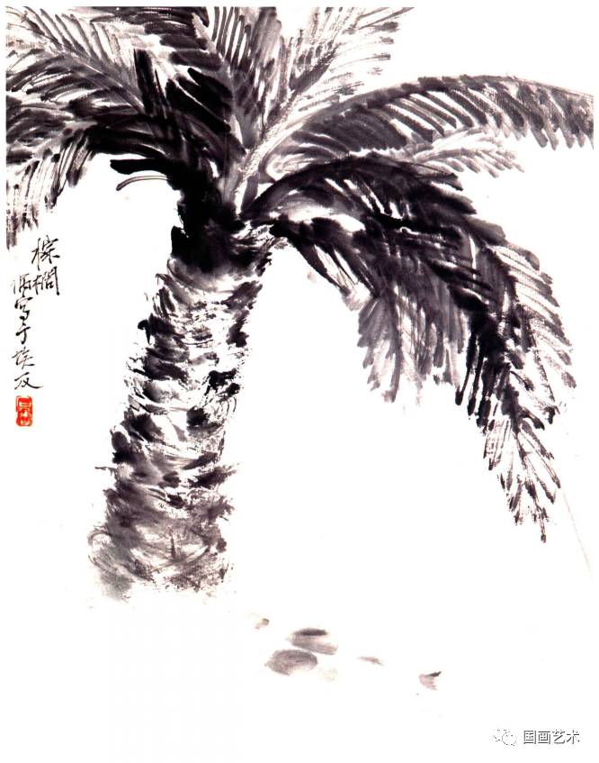 棕榈树 1956年