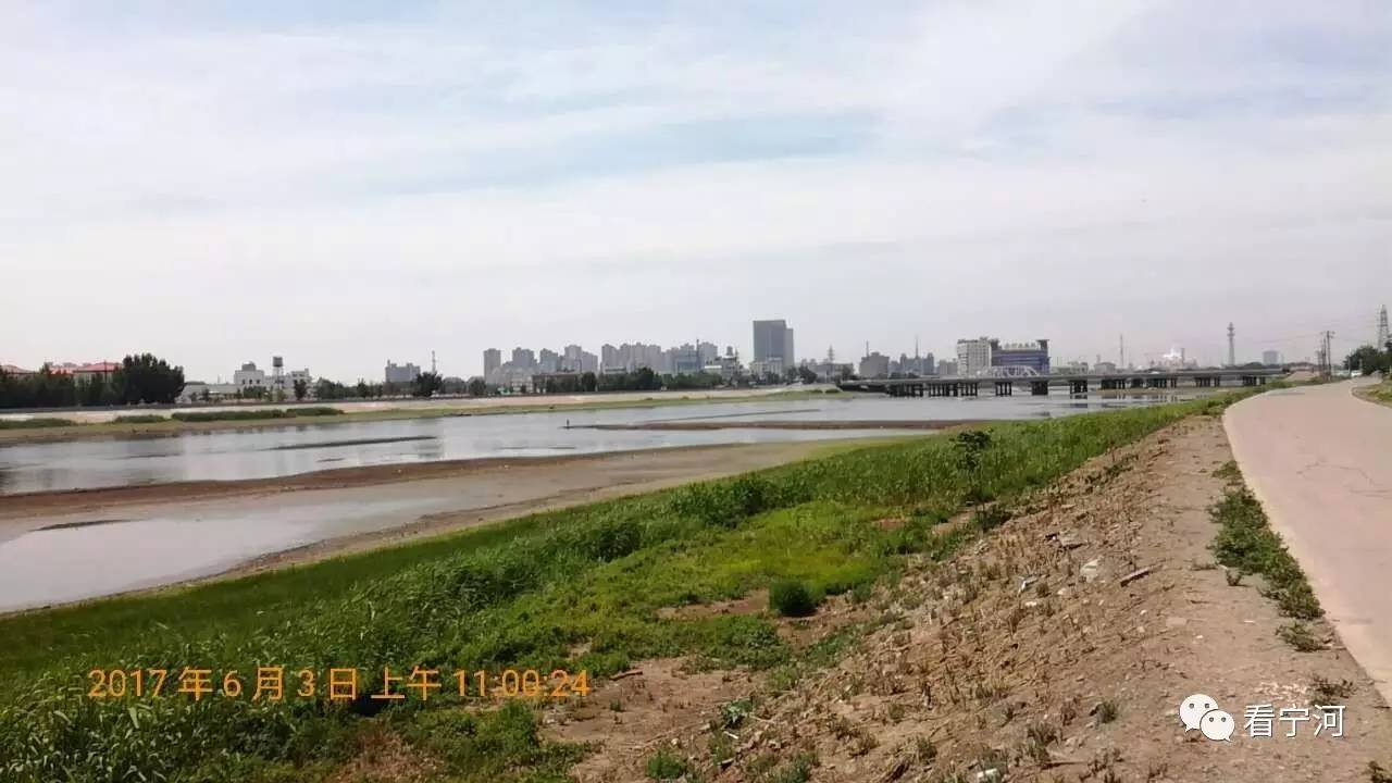 实拍: 宁河区蓟运河罕见景象