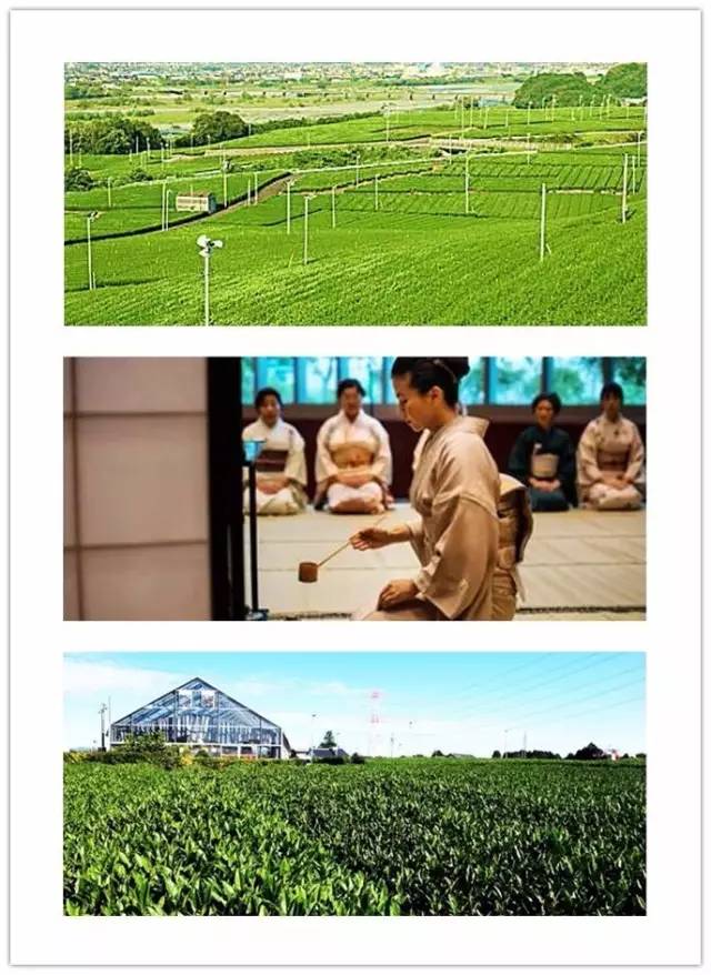 日本农业科技生产+品牌运营+休闲运营考察！