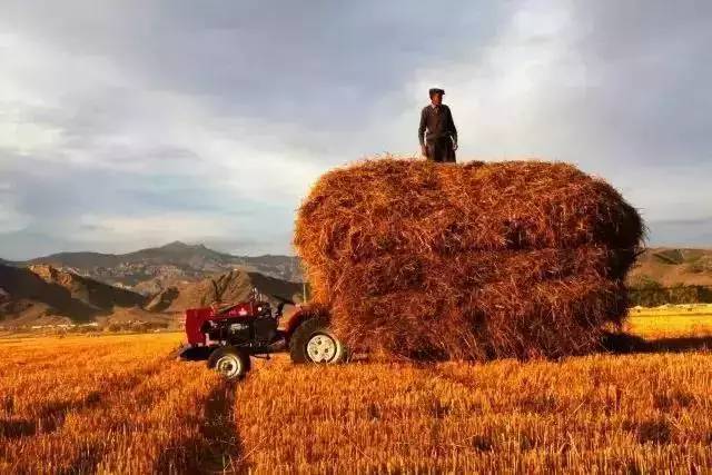 美国农民人口_美国农民的年收入是中国农民的十倍,粮食价优便宜,中国农民如(2)