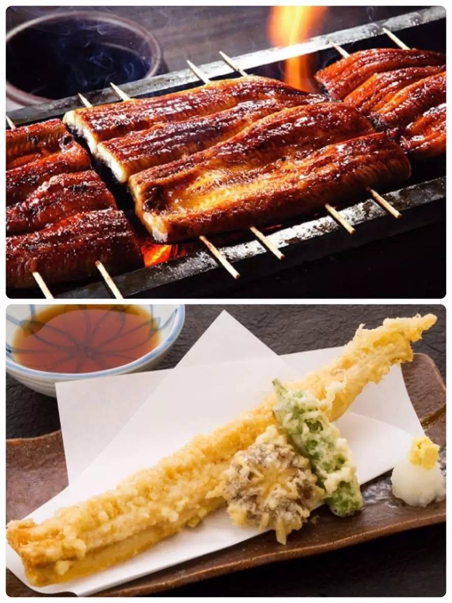日本夏日物语:鳗鱼饭和穴子天妇罗