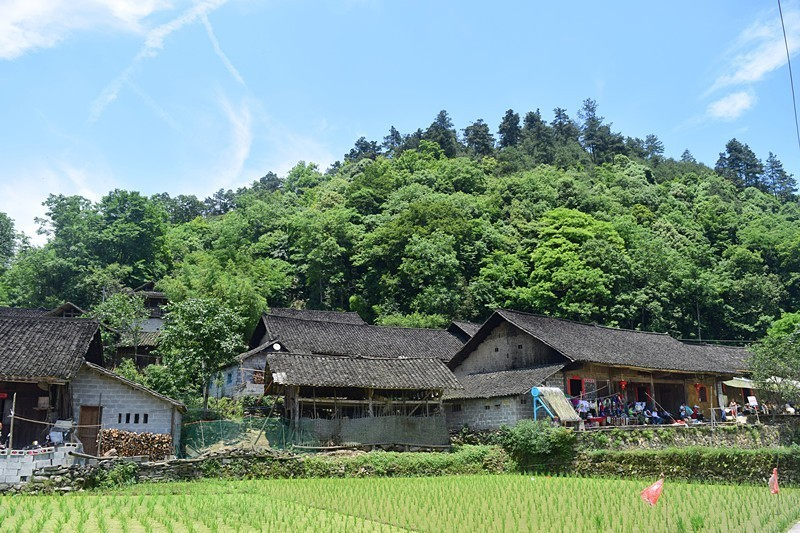 中国●湘西第二届农耕民俗文化节,这个村沸腾了!