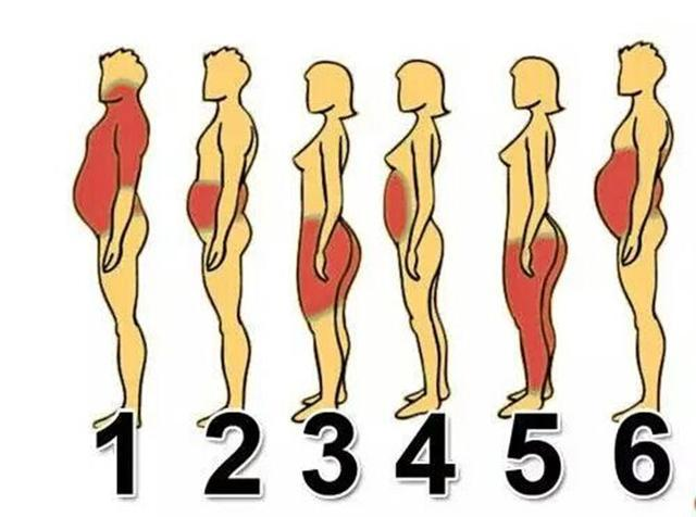 男女身材胖哪里才算胖,6种类型你属于哪种?