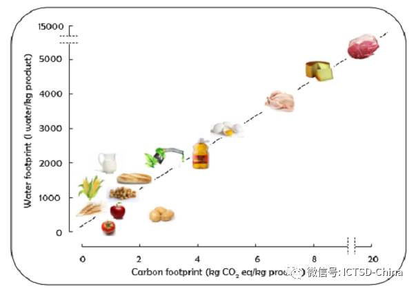 超越水足迹和碳足迹：食品和水安全领域的紧迫问题