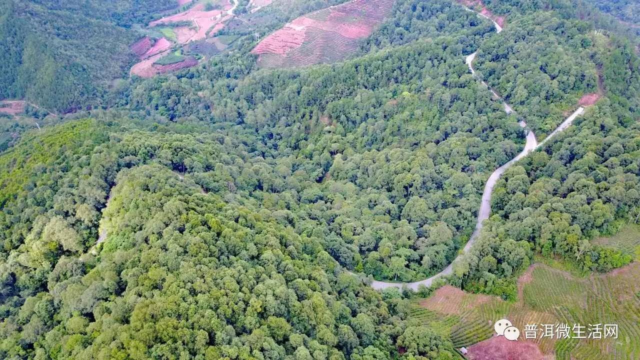 普洱最弯最拐的一条盘山公路！一弯绕一弯，江城人问你晕不晕？