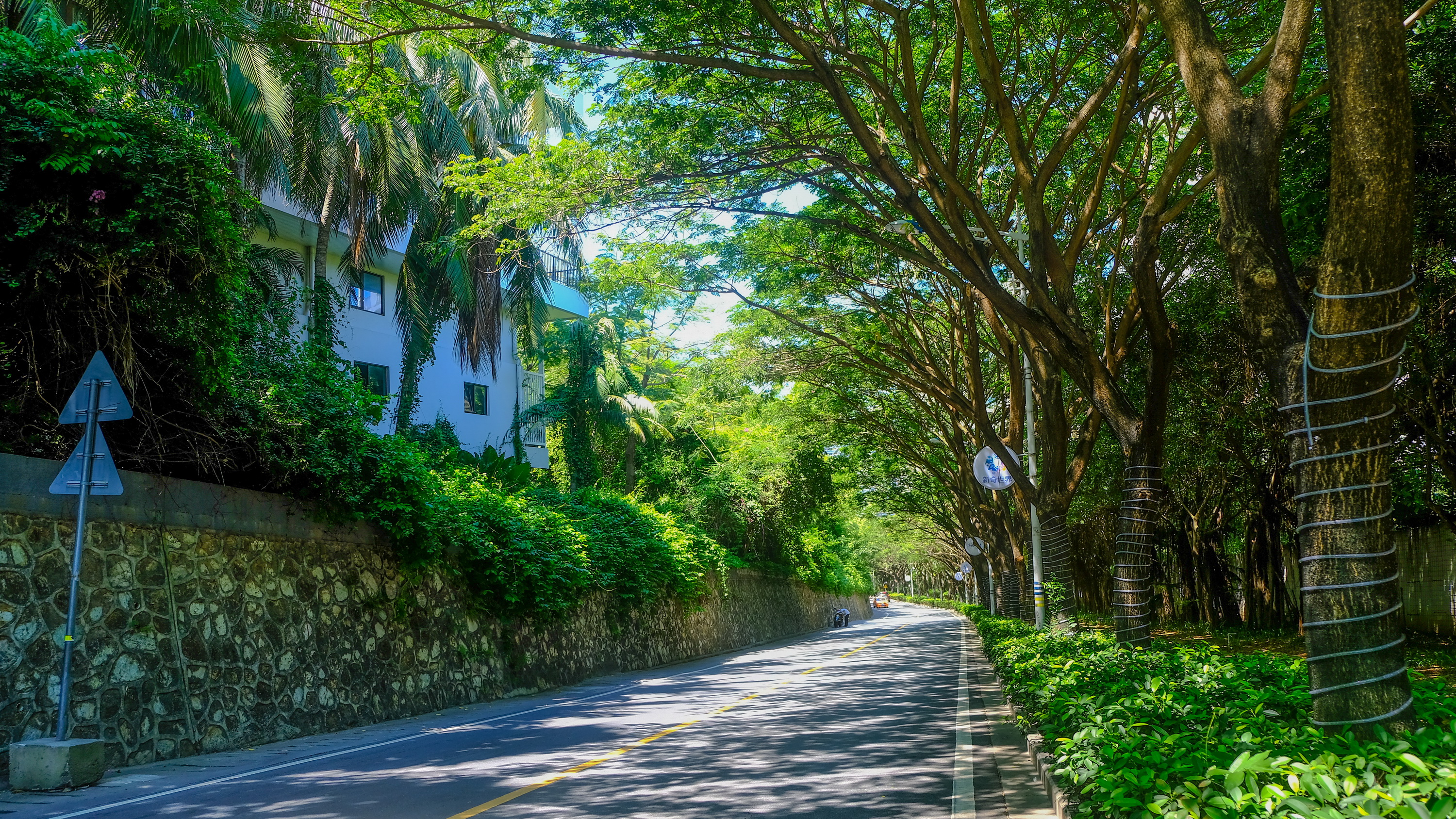 六月晒晒三亚,街边海边其实很凉爽很美丽(实景)