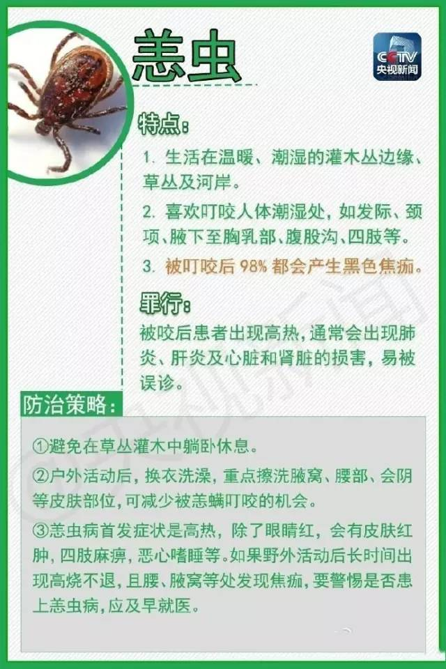 男子上山被虫咬差点危害生命!注意提防恙虫病