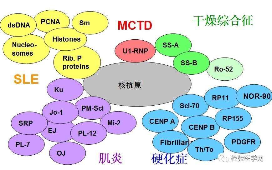 懂你曲谱动态谱_你懂的(2)