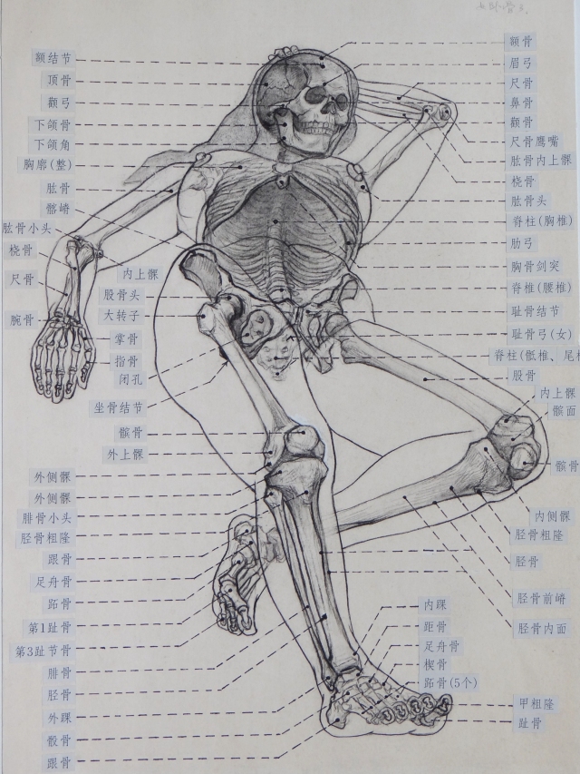 陈伟生《人体造型结构与绘画研究》研修班招生启事