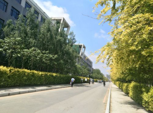 专访|辽宁中医药大学杏林学院:就业率92%以上