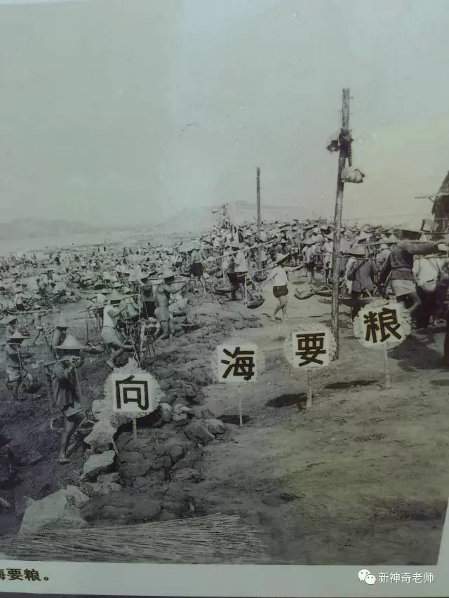 【旧照】澄海东部70年代围海造田,珍藏老照片终于被曝光!